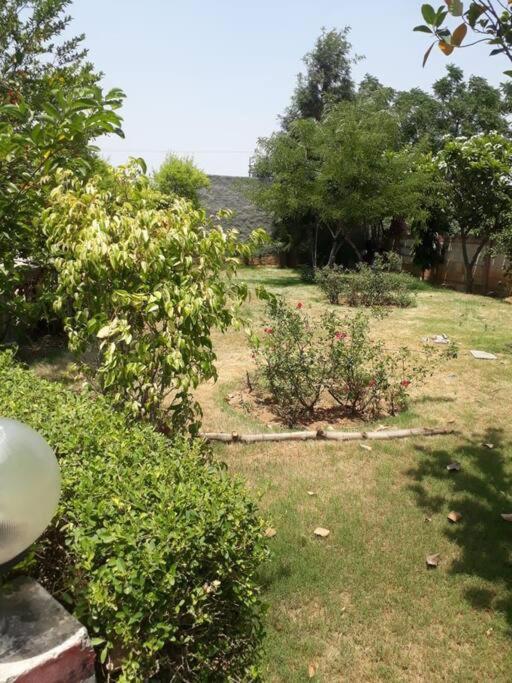 Achal Farm जंगल में मंगल Villa Gurgaon Eksteriør bilde