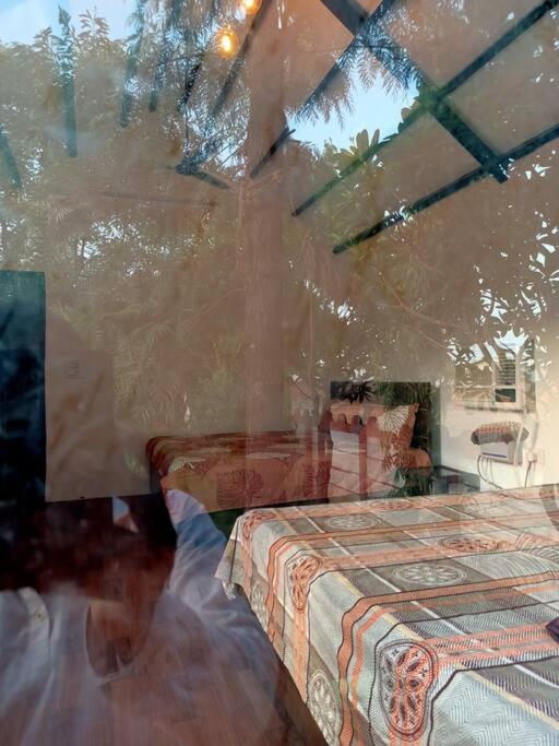 Achal Farm जंगल में मंगल Villa Gurgaon Eksteriør bilde