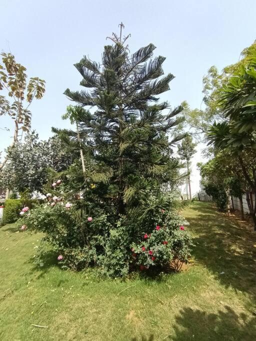 Achal Farm जंगल में मंगल Villa Gurgaon Eksteriør bilde