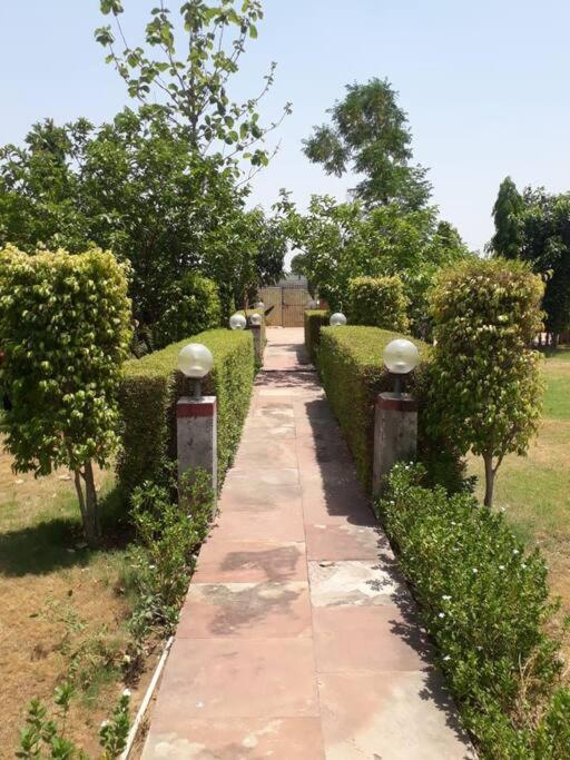 Achal Farm जंगल में मंगल Villa Gurgaon Eksteriør bilde