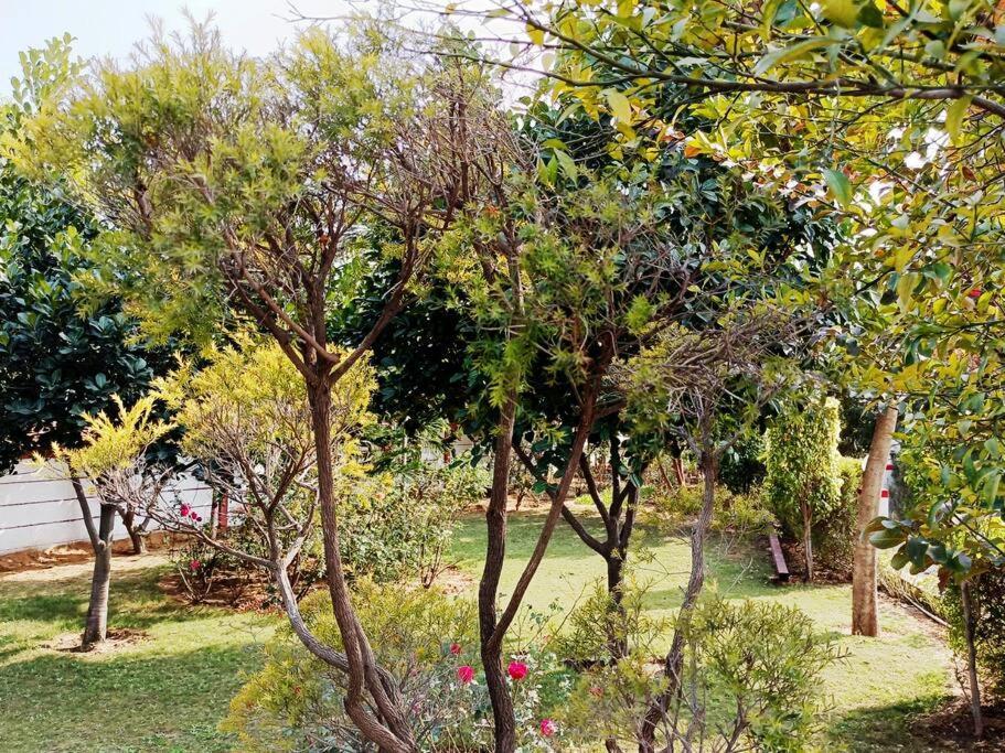 Achal Farm जंगल में मंगल Villa Gurgaon Eksteriør bilde